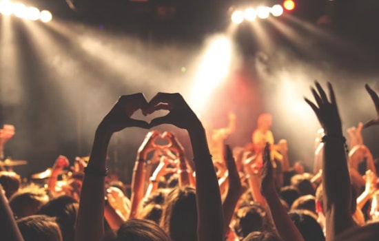WayneFest Celebrates Phoenix's Local Music Scene with Art and Charity on November 8