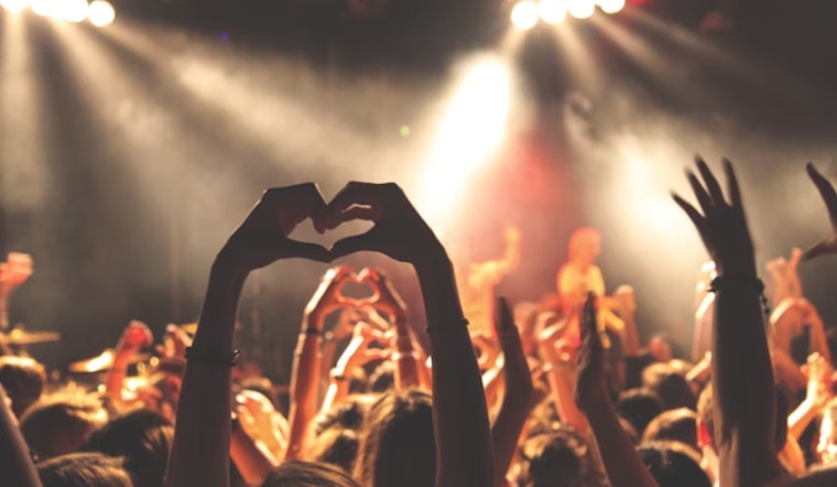 WayneFest Celebrates Phoenix's Local Music Scene with Art and Charity on November 8