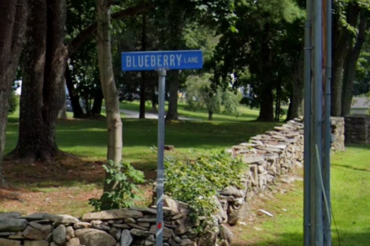 Webster Residents on Alert as 5-Foot Lizard Escapes, Police Urge Caution in Massachusetts Town