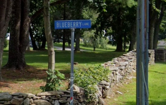 Webster Residents on Alert as 5-Foot Lizard Escapes, Police Urge Caution in Massachusetts Town