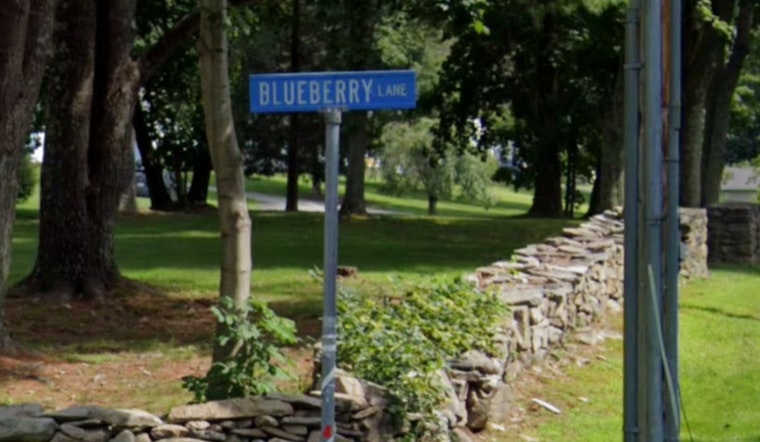 Webster Residents on Alert as 5-Foot Lizard Escapes, Police Urge Caution in Massachusetts Town