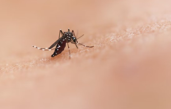 West Nile Virus Detected in Fulton County, Atlanta and Hapeville on Alert