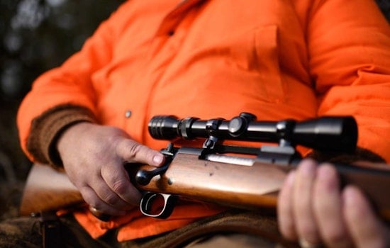 Wisconsin DNR Seeks Participants for Accessible Gun Deer Hunt for Disabled Hunters