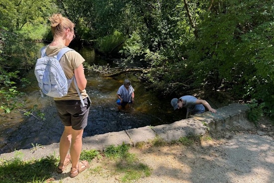 Wisconsin Residents Invited to Join DNR's Aquatic Invasive Species Snapshot Day on August 9