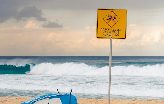 Wright County Temporarily Closes Popular Beaches to Combat Swimmer's Itch Outbreak