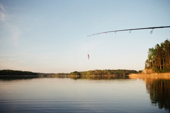 12 Anglers Cited for License Violations in Plaquemines Parish Fishing Crackdown