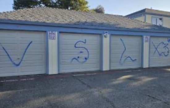 16-Year-Old in Santa Rosa Arrested on Felony Charges for Gang-Related Graffiti Vandalism
