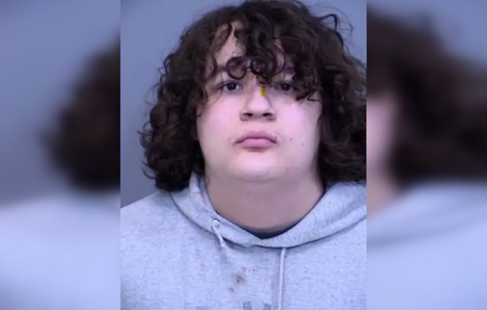 18-Year-Old Charged After Throwing Sex Toy at Spectators During Phoenix WNBA Game