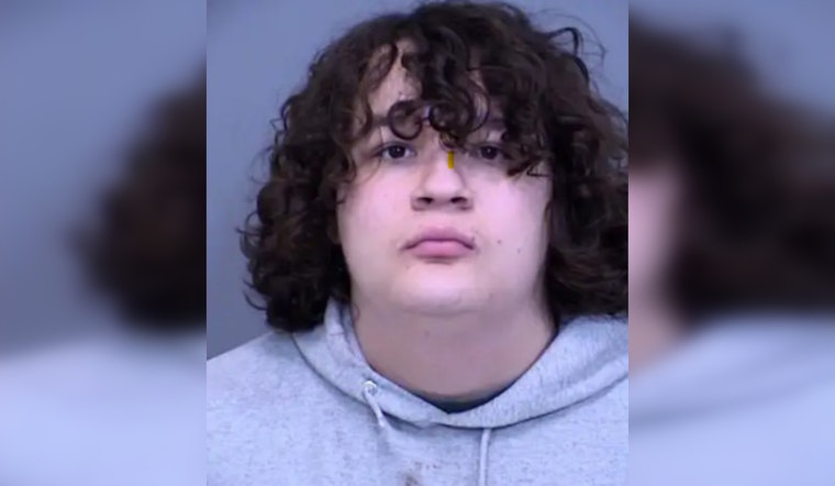 18-Year-Old Charged After Throwing Sex Toy at Spectators During Phoenix WNBA Game