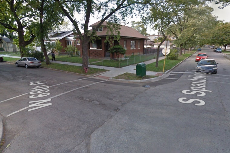 26 Dogs Rescued Amid Animal Cruelty Probe in Chicago Lawn Neighborhood