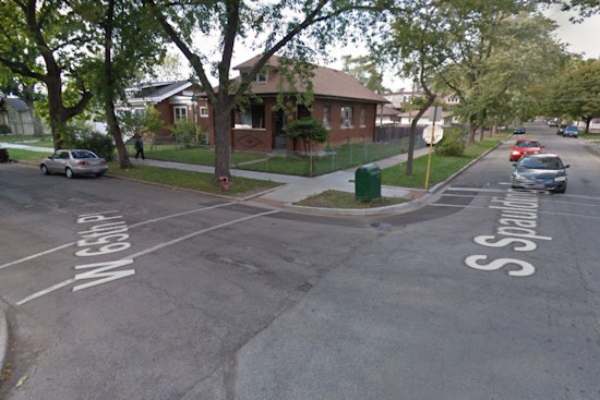 26 Dogs Rescued Amid Animal Cruelty Probe in Chicago Lawn Neighborhood