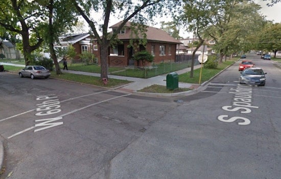 26 Dogs Rescued Amid Animal Cruelty Probe in Chicago Lawn Neighborhood