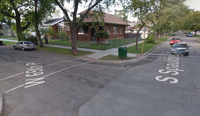 26 Dogs Rescued Amid Animal Cruelty Probe in Chicago Lawn Neighborhood