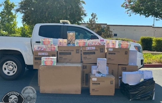 $30,000 Worth of Stolen Labubu Collectible Dolls Recovered in Upland Home After Chino Warehouse Burglary