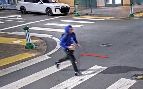 Honolulu Police Release Sketch of Suspect in Chinatown Acid Attack