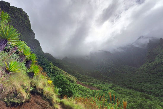 52-Year-Old California Hiker and Minors Rescued from Kauai's Kalalau Trail