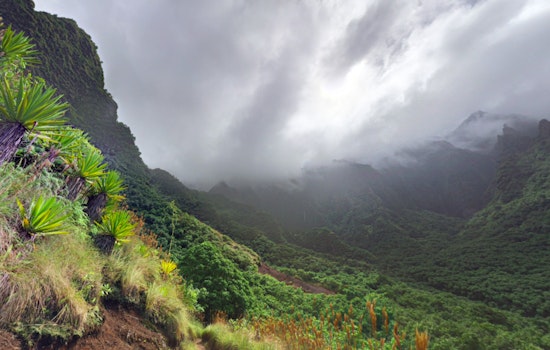 52-Year-Old California Hiker and Minors Rescued from Kauai's Kalalau Trail