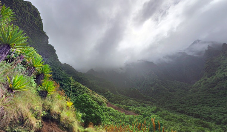 52-Year-Old California Hiker and Minors Rescued from Kauai's Kalalau Trail