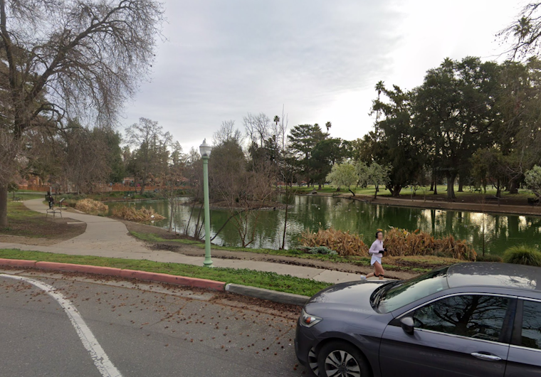 Dead Fish Found Floating in McKinley Park Pond Amid Sacramento Heat Wave