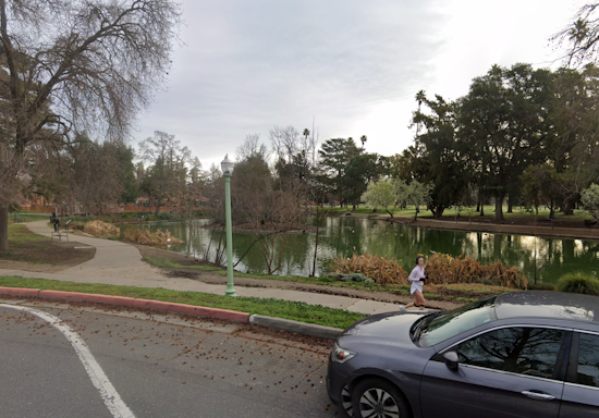 Dead Fish Found Floating in McKinley Park Pond Amid Sacramento Heat Wave