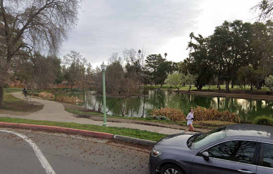 Dead Fish Found Floating in McKinley Park Pond Amid Sacramento Heat Wave