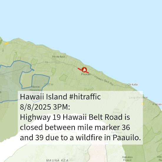 Hamakua Wildfire Prompts Evacuations Before Swift Containment