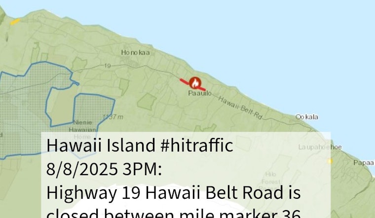 Hamakua Wildfire Prompts Evacuations Before Swift Containment