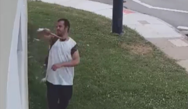 VIDEO: Akron Police Seek Public's Help to Identify Suspect in Vandalism Spree on E. Market St.