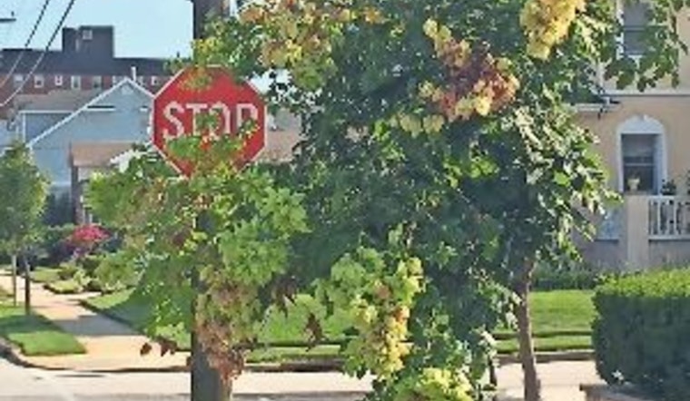Apple Valley Urges Residents to Maintain Clear Sightlines at Intersections for Safety
