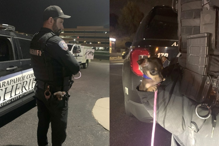 Arapahoe County Deputy Turns Rescuer for Chihuahua Puppy Amid Routine Call in Centennial