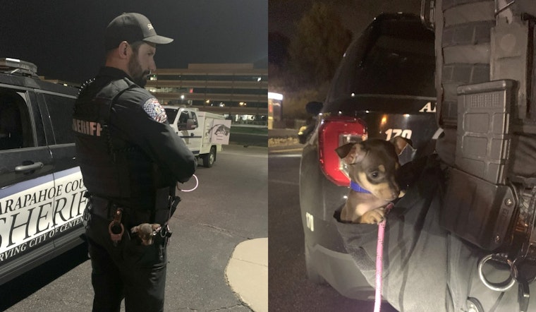 Arapahoe County Deputy Turns Rescuer for Chihuahua Puppy Amid Routine Call in Centennial