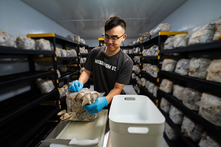 Arlington Launches Free Initiative to Boost Small Business Growth Across Key Industries