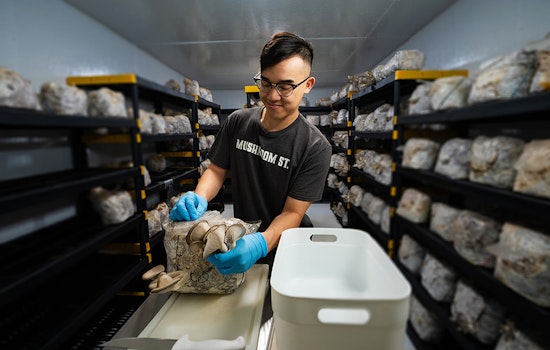 Arlington Launches Free Initiative to Boost Small Business Growth Across Key Industries