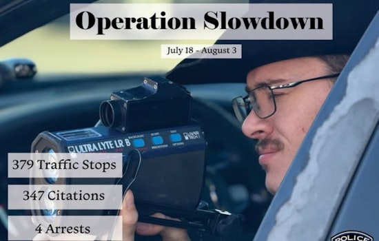 Arlington Police Department's 'Operation Slowdown' Leads to 379 Stops and Multiple Arrests