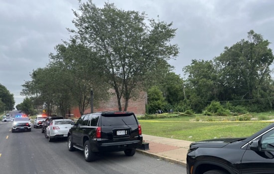 Armed Carjacking Suspect Fatally Shot by Police in St. Louis Following Foot Chase