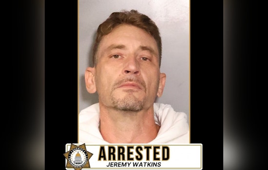Arrest of Armed Man in East Sacramento Prompts Security Concerns and Highlights Inter-Agency Collaboration