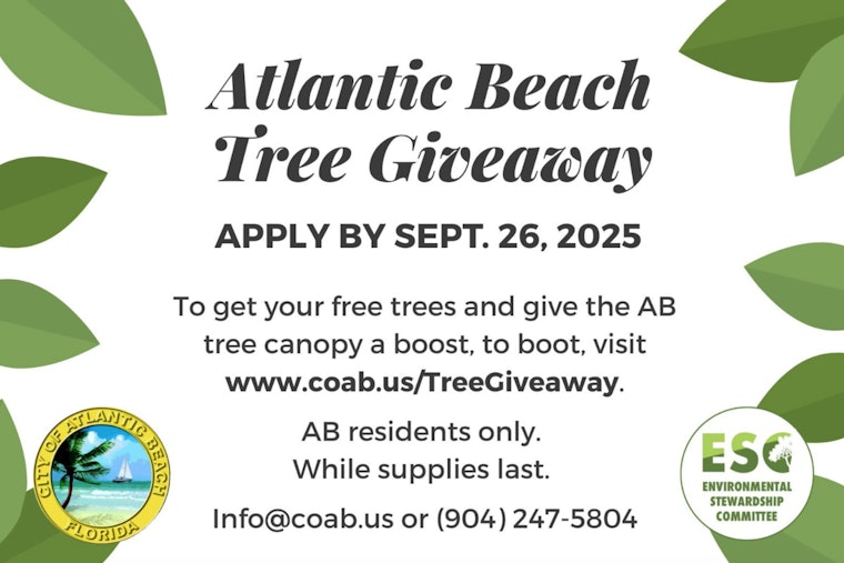 Atlantic Beach Offers Free Trees to Residents to Enhance Local Canopy