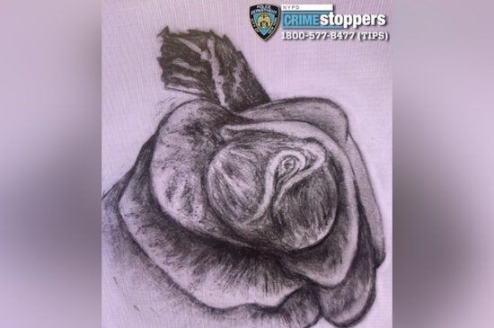 Authorities Appeal for Help Identifying Woman After Skeletal Remains Found Near Brooklyn's Cypress Hill Cemetery
