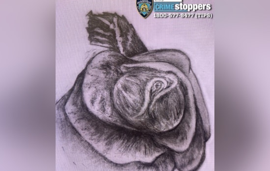 Authorities Appeal for Help Identifying Woman After Skeletal Remains Found Near Brooklyn's Cypress Hill Cemetery
