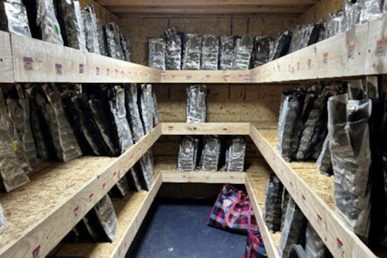 Authorities Bust Major Illegal Cannabis Operation in Bronx, Arrest 11 Suspected of Running 'Budzotic' Smoke Shop