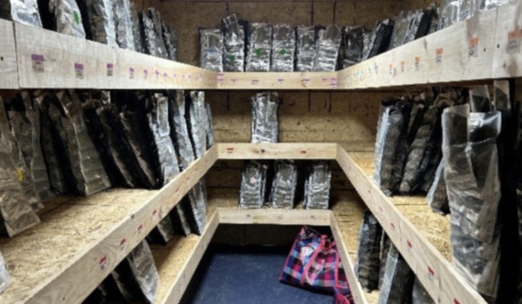 Authorities Bust Major Illegal Cannabis Operation in Bronx, Arrest 11 Suspected of Running 'Budzotic' Smoke Shop