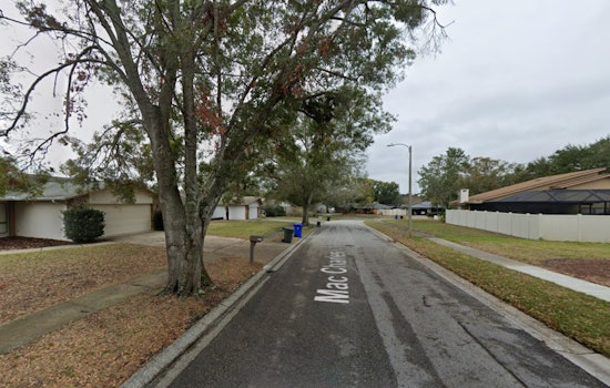 Authorities Investigate Suspected Murder-Suicide in Dunedin Leaving Two Dead