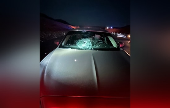 Authorities Seek Public's Help After Rock-Throwing Incident on Nevada Highway Injures Two Near Henderson