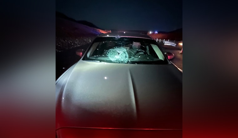 Authorities Seek Public's Help After Rock-Throwing Incident on Nevada Highway Injures Two Near Henderson