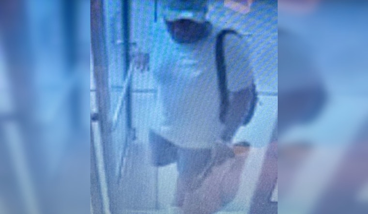 Authorities Seek Public's Help to Identify Suspect in Houston Premium Outlets Theft