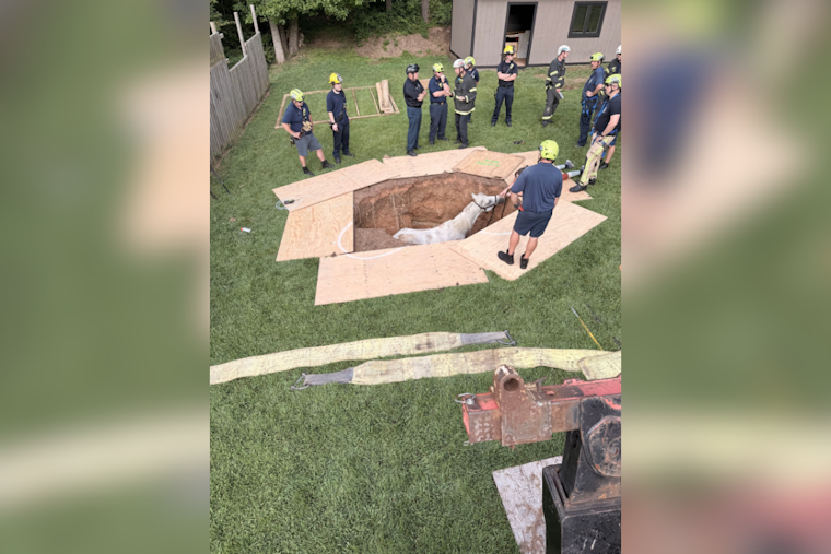 Baltimore County Fire Crews Skillfully Rescue Horse from Pit on Old Hanover Road