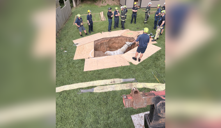 Baltimore County Fire Crews Skillfully Rescue Horse from Pit on Old Hanover Road