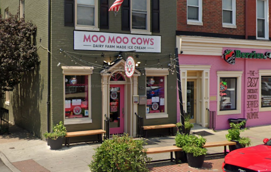 Baltimore Ice Cream Shop 'Moo Moo Cows' Falls Victim to Vandals Amidst Community Crime Concerns