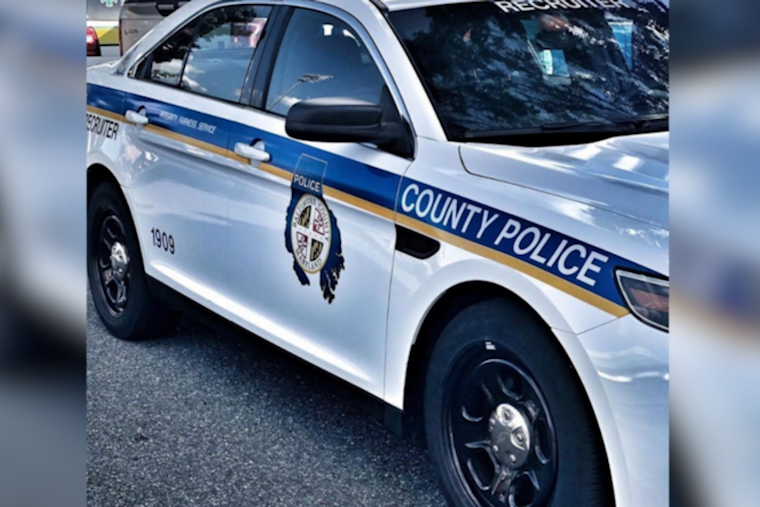 Baltimore Teens Face Charges for Burning Dead Deer in Perry Hall Community Incident