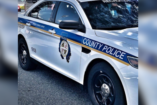Baltimore Teens Face Charges for Burning Dead Deer in Perry Hall Community Incident